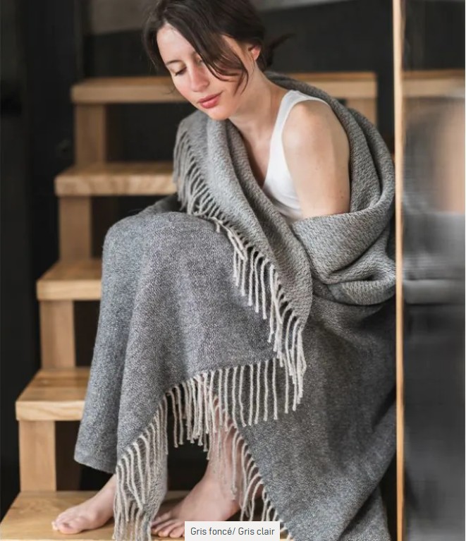 Apolo, plaid, baby lama, Brun de Vian-Tiran (Frankrijk) - Afbeelding 4