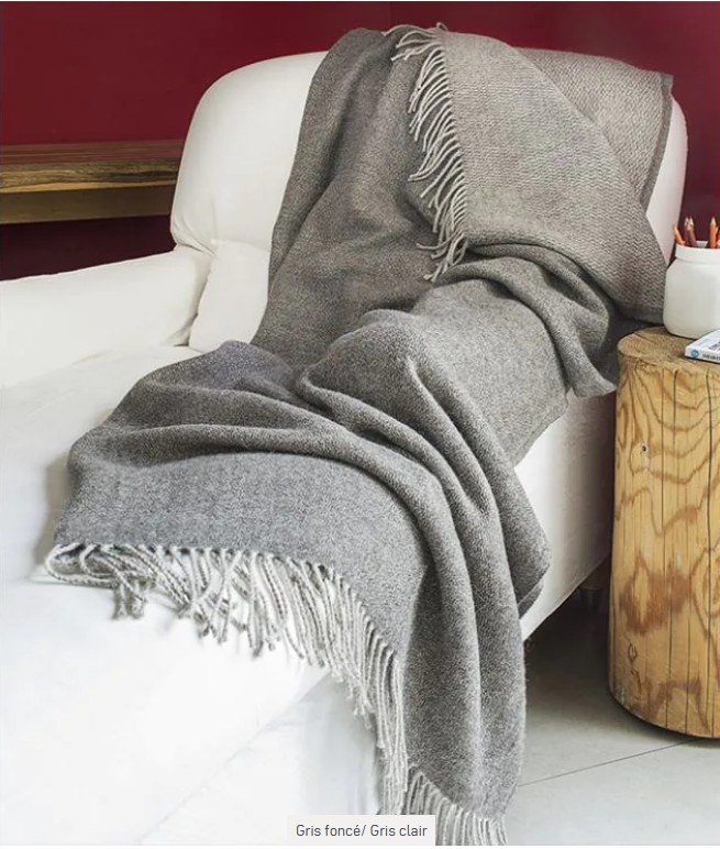 Apolo, plaid, baby lama, Brun de Vian-Tiran (Frankrijk) - Afbeelding 5