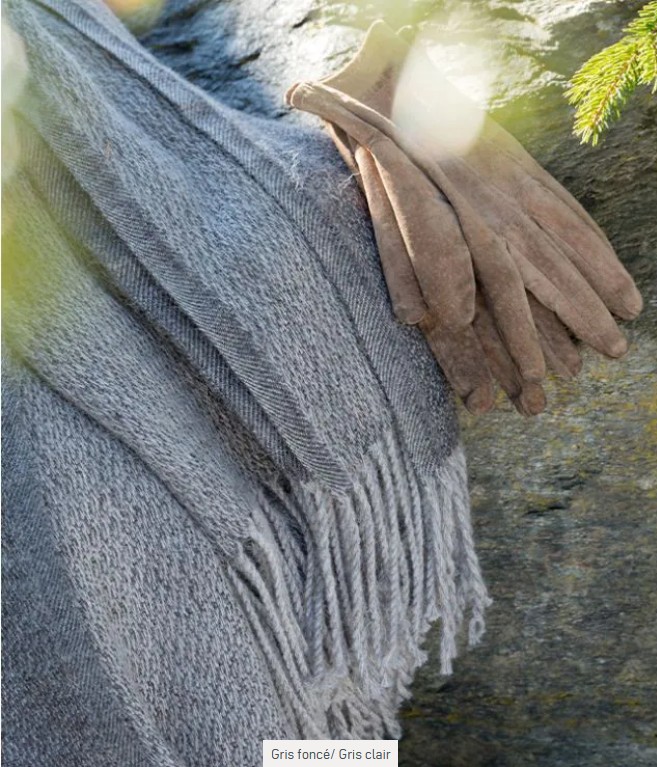 Apolo, plaid, baby lama, Brun de Vian-Tiran (Frankrijk) - Afbeelding 6