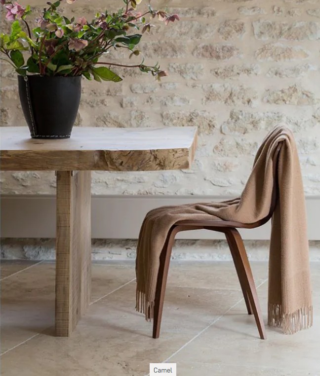 Khomyn-Tal, plaid, baby camel, Brun de Vian-Tiran (Frankrijk) - Afbeelding 5