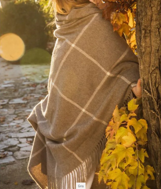 Yaka, plaid, Yak, Brun de Vian-Tiran (Frankrijk) - Afbeelding 9